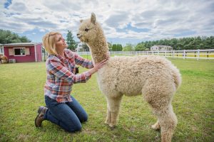 Women petting a Alpaca on a warm bright day with clear blue sky